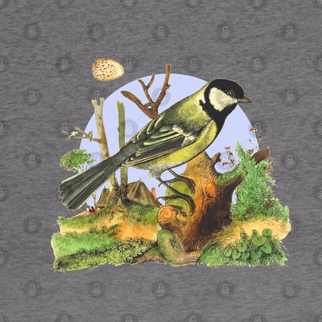 Great Tit  Wildlife Illustration by Biophilia